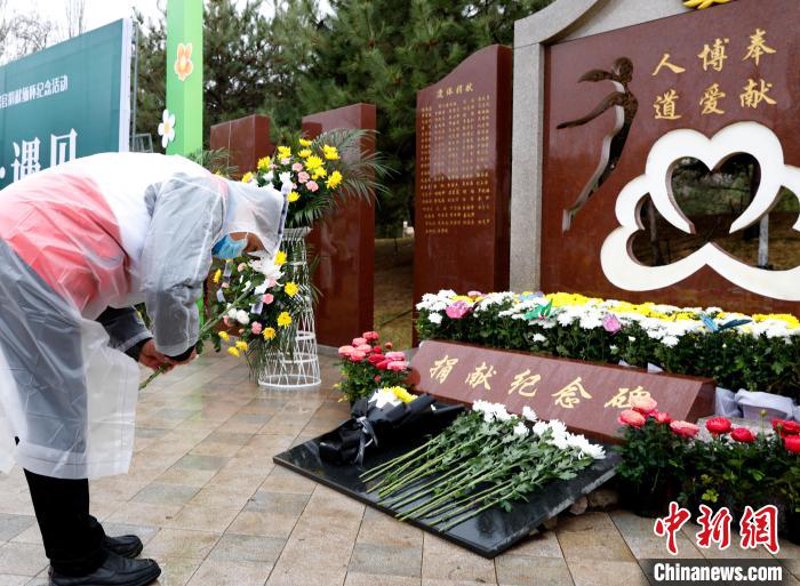 无偿献血的意义与影响